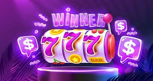 8800 bet